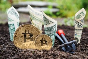Bitmain przyjmuje płatność tylko w Bitcoin Cash