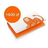Promocja konta osobistego Direct w banku ING – teraz aż 600 zł gotówki