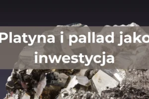 Platyna i pallad: „zapomniane” metale szlachetne. Czy warto w nie inwestować obok złota i srebra?