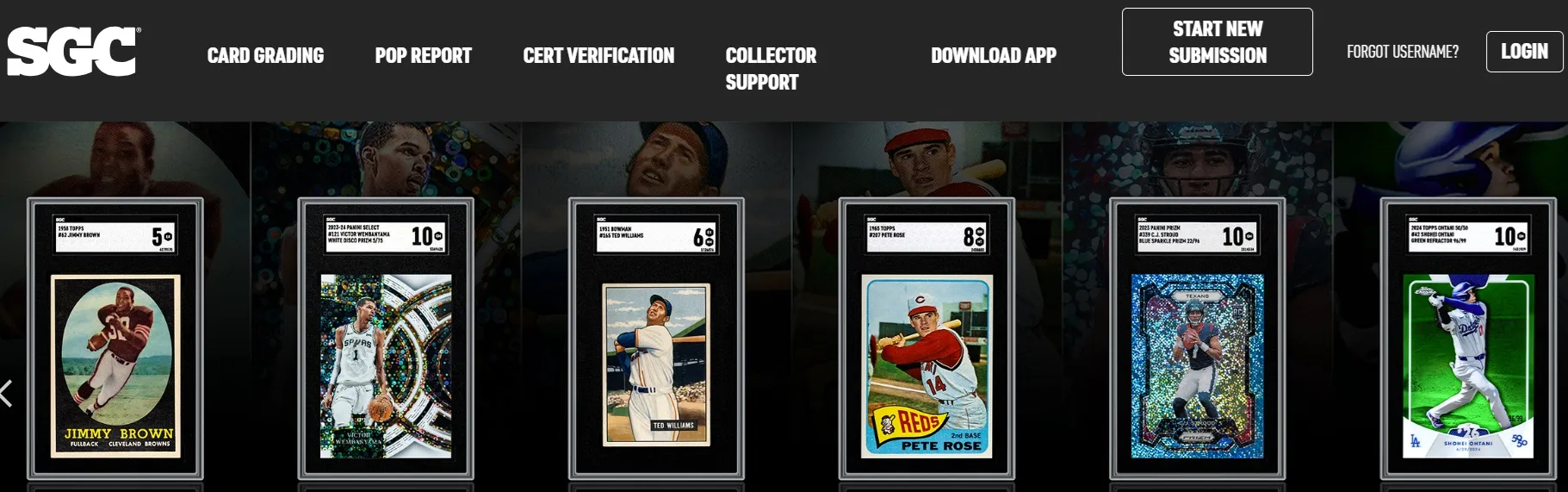 screen ze strony internetowej sgc grading kart